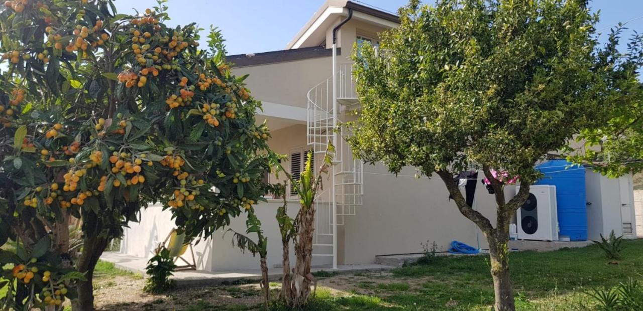 Villa Alice Capo Vaticano Zewnętrze zdjęcie
