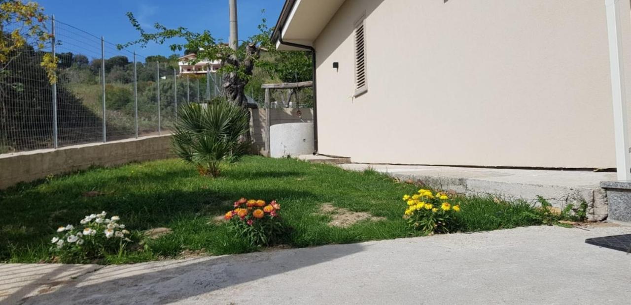 Villa Alice Capo Vaticano Zewnętrze zdjęcie
