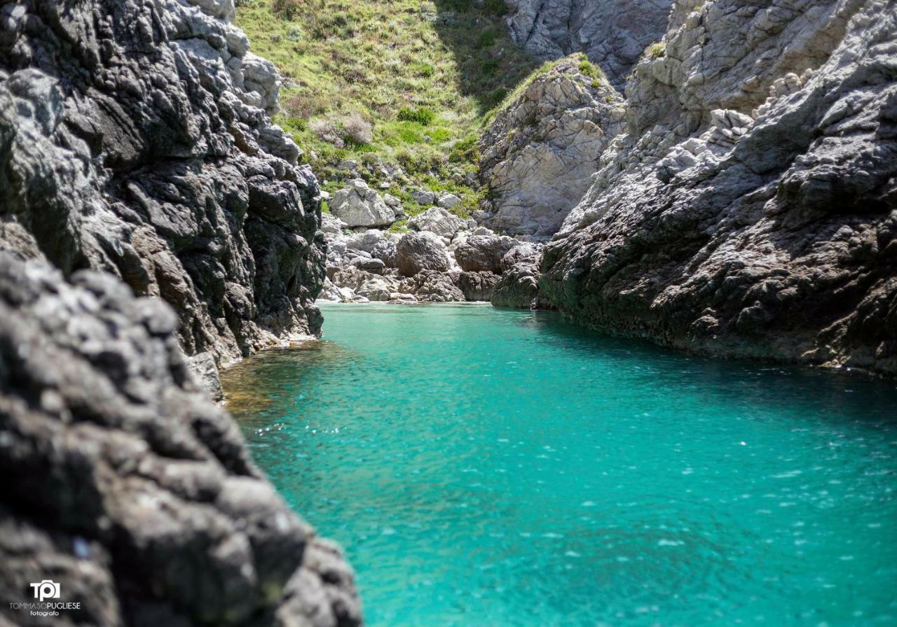 Villa Alice Capo Vaticano Zewnętrze zdjęcie
