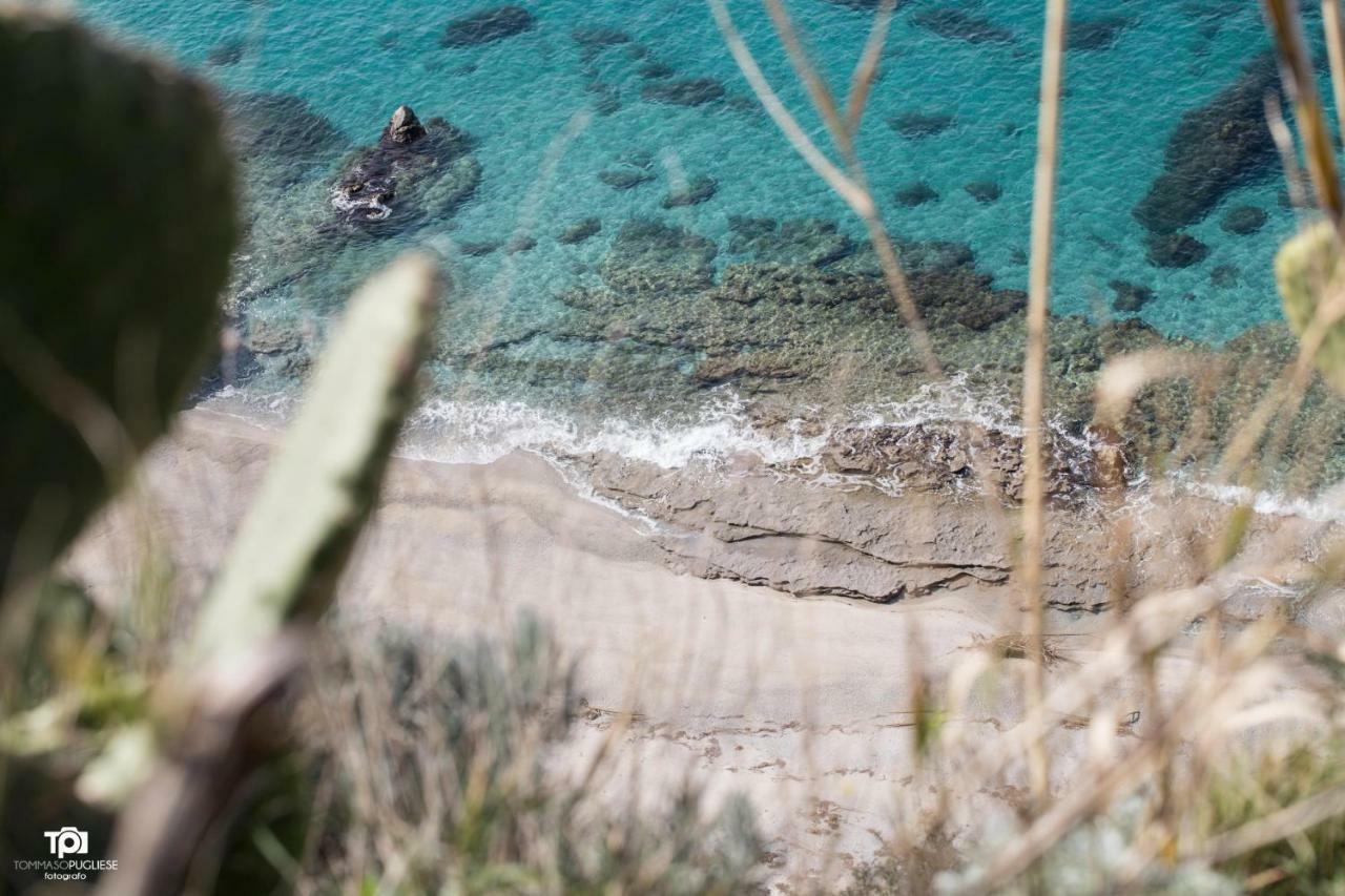 Villa Alice Capo Vaticano Zewnętrze zdjęcie